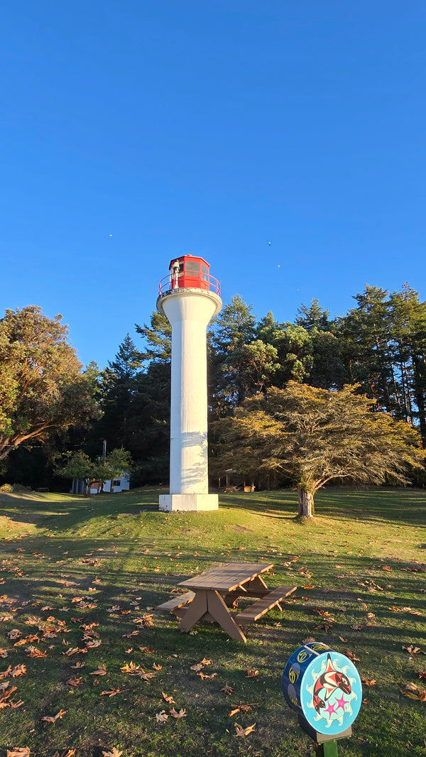 Why Work with an On-Island Realtor When Buying on Mayne Island