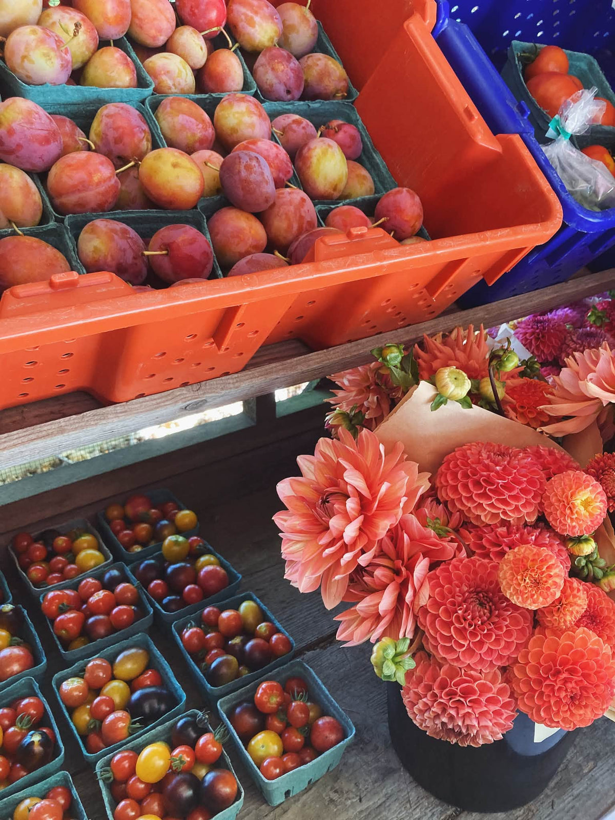 Mayne Island Farm Stands: A Local’s Guide to Roadside Treasures