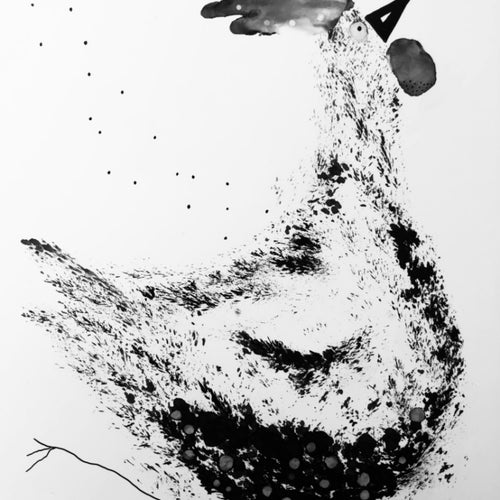 Cole Carter Original Print