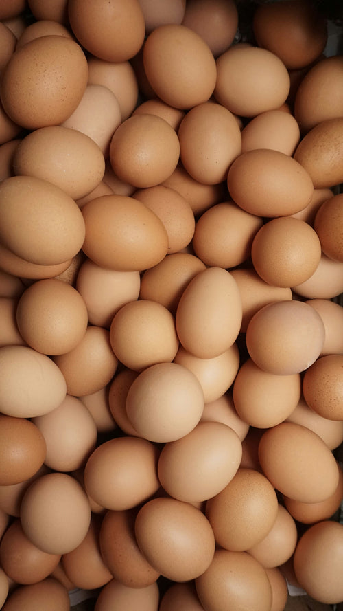 Farm Fresh Eggs