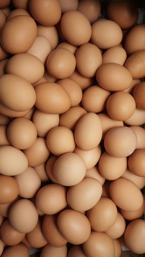 Farm Fresh Eggs